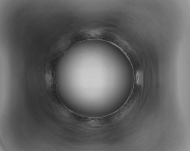 X0000113871395200909241322