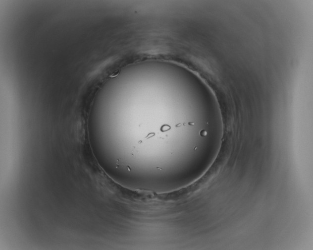 X0000113871398200909241322