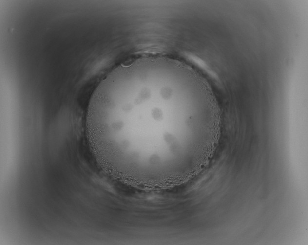 X0000113871399200909241322