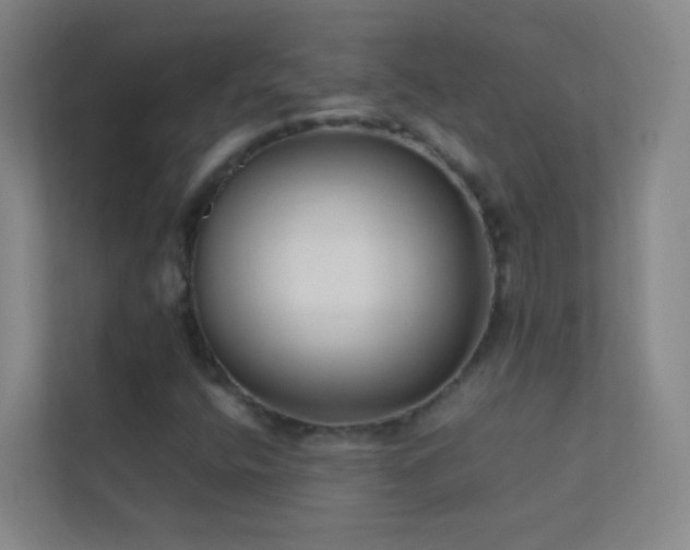 X0000113871400200909241322