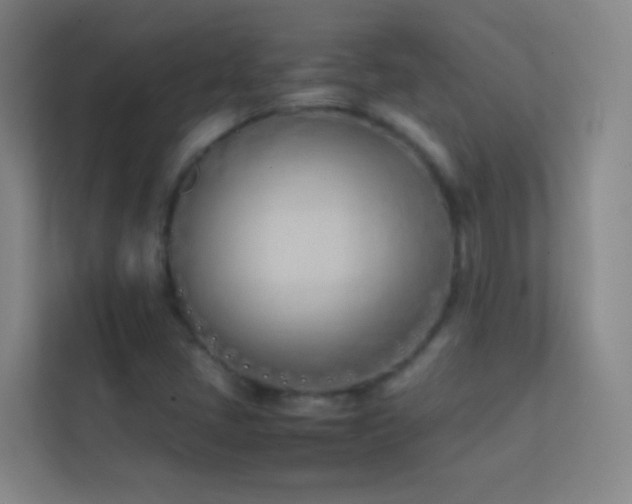 X0000113871405200909241322