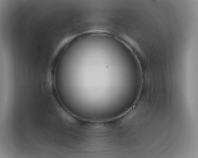 X0000113871408200909241322