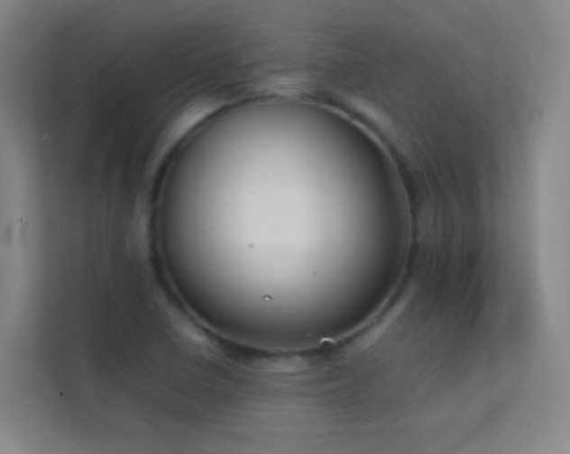 X0000113871410200909241322