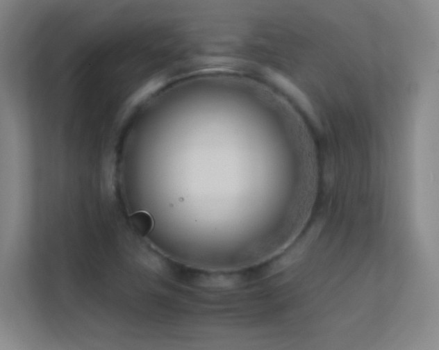X0000113871411200909241322
