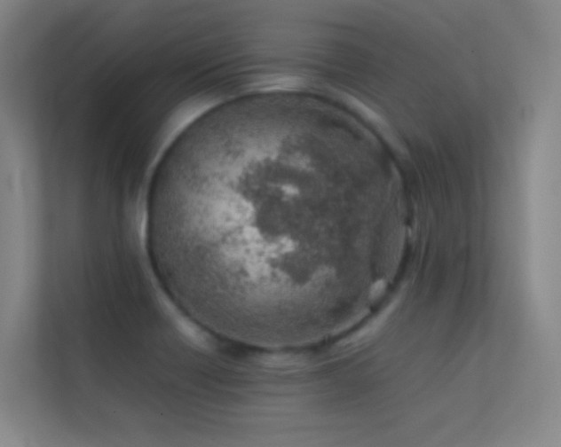 X0000113871418200909241322