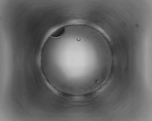 X0000113871421200909241323