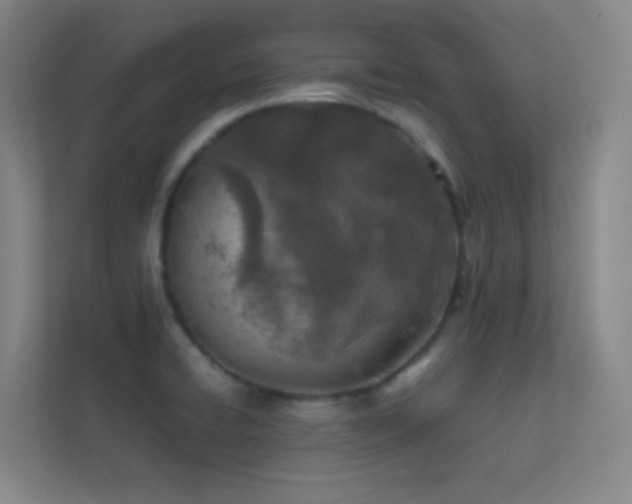 X0000113871422200909241323