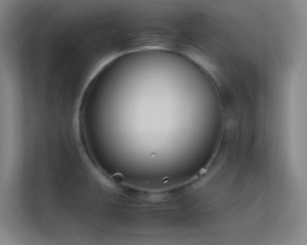 X0000113871423200909241323