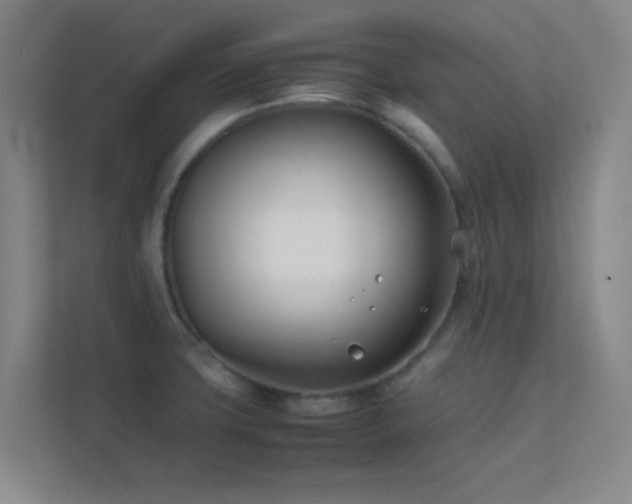 X0000113871427200909241323