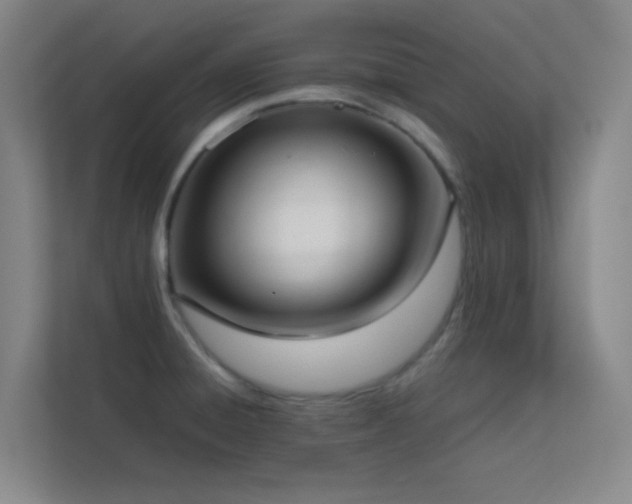 X0000113871428200909241323