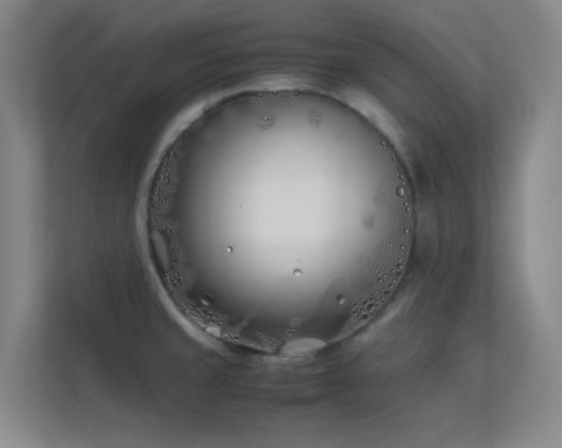 X0000113871429200909241323