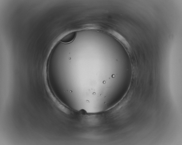 X0000113871431200909241323