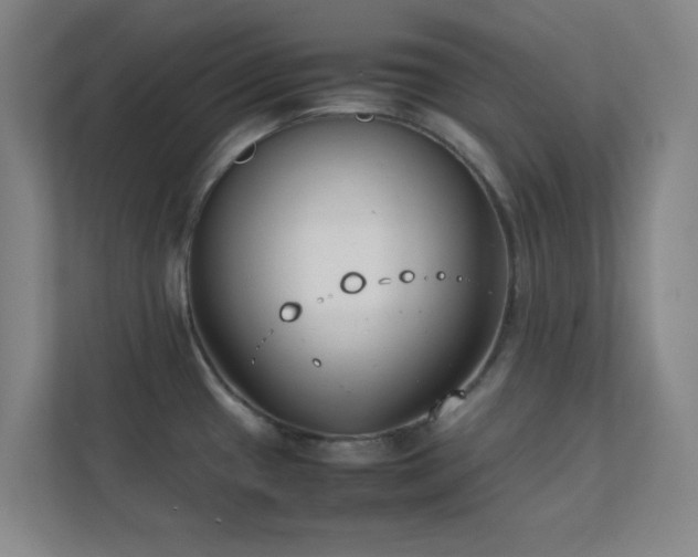 X0000113871433200909241323