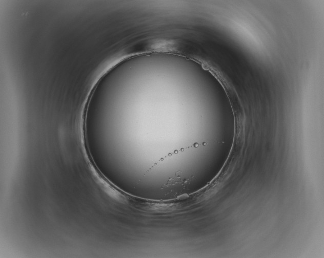 X0000113871439200909241323