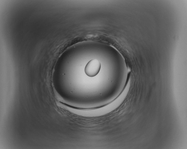 X0000113871441200909241322