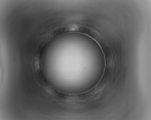 X0000113871442200909241322