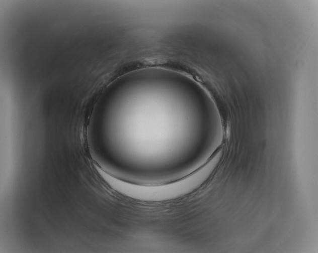 X0000113871444200909241322