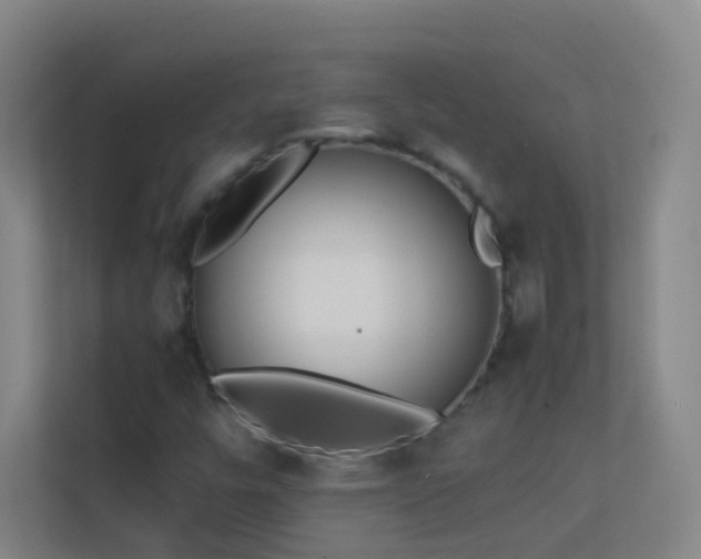 X0000113871448200909241322