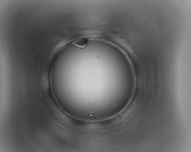X0000113871451200909241322