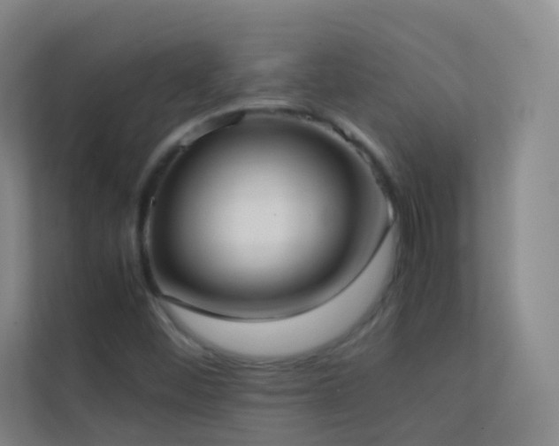 X0000113871452200909241322