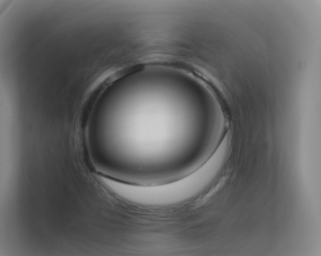 X0000113871453200909241322