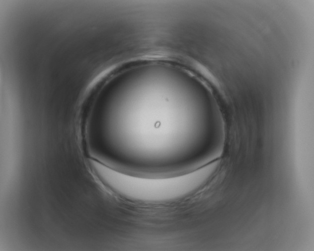 X0000113871456200909241322