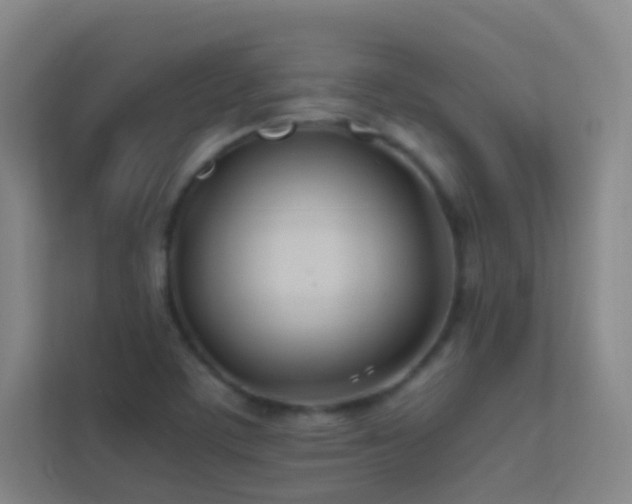 X0000113871459200909241322