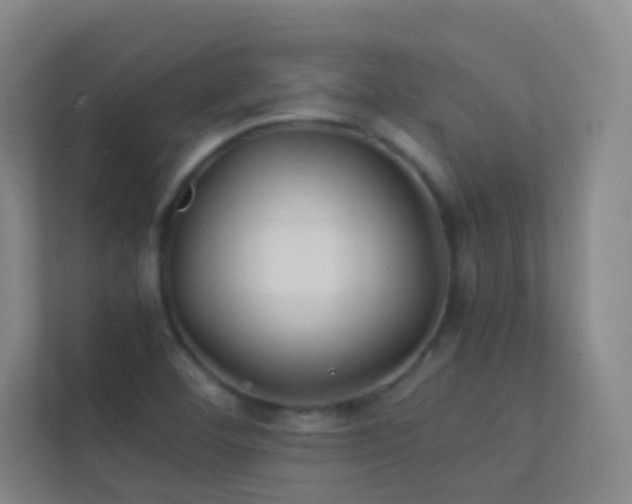X0000113871460200909241322
