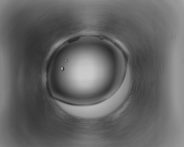 X0000113871461200909241322