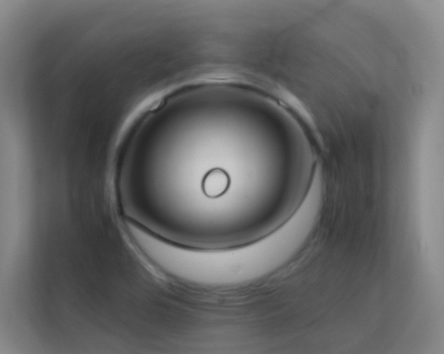 X0000113871464200909241322