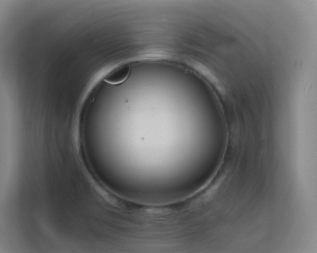 X0000113871469200909241322