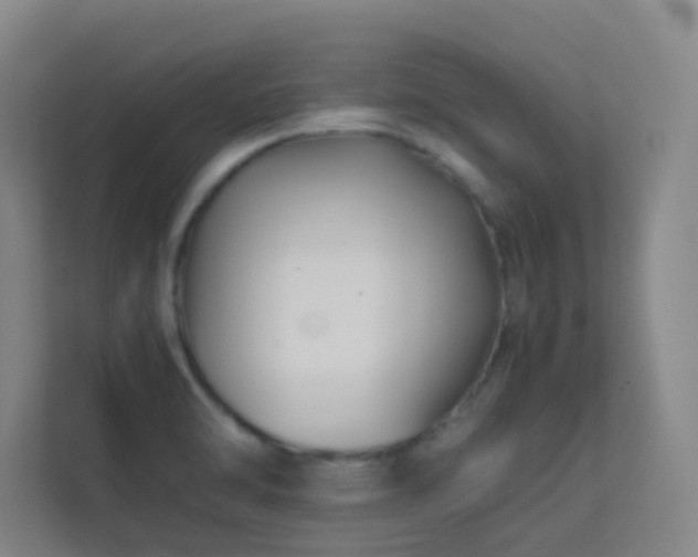 X0000113871470200909241322