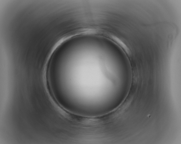 X0000113871475200909241322