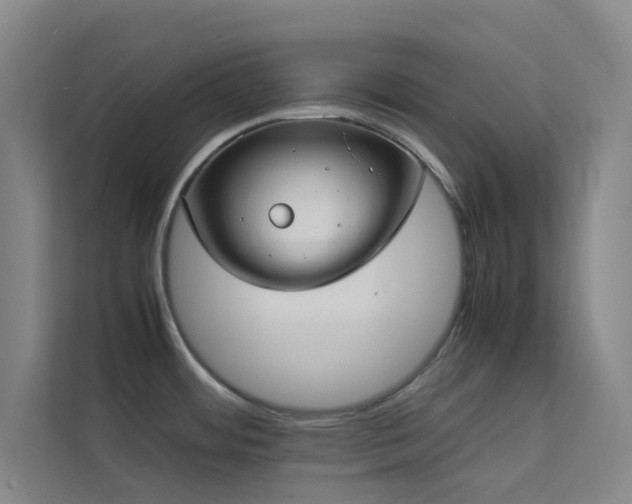 X0000113871484200909241322