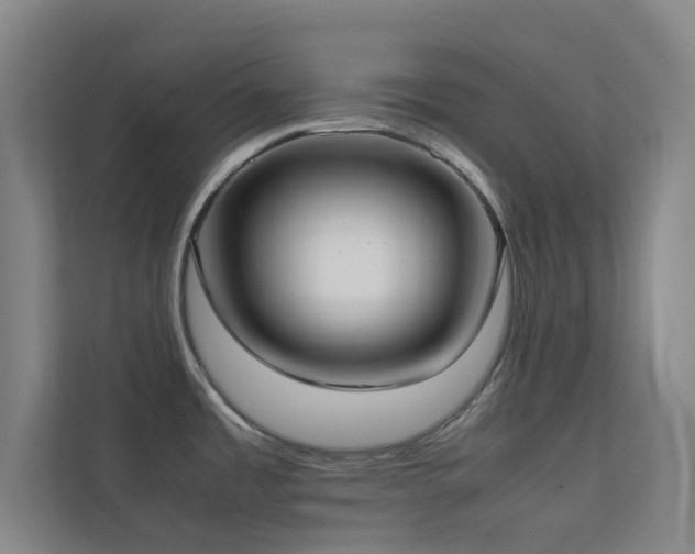 X0000113871485200909241322