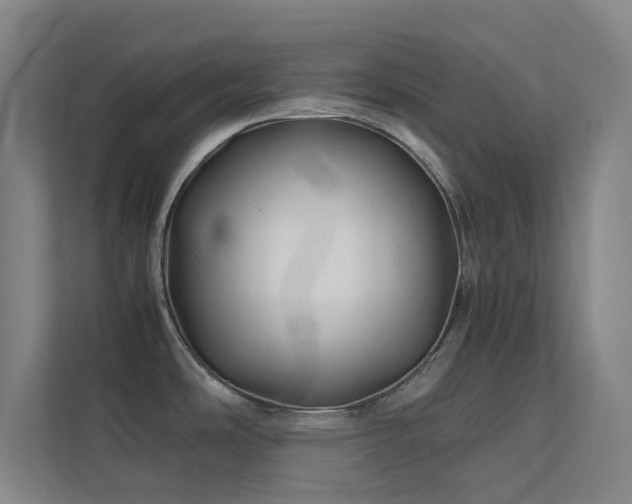 X0000113871486200909241322