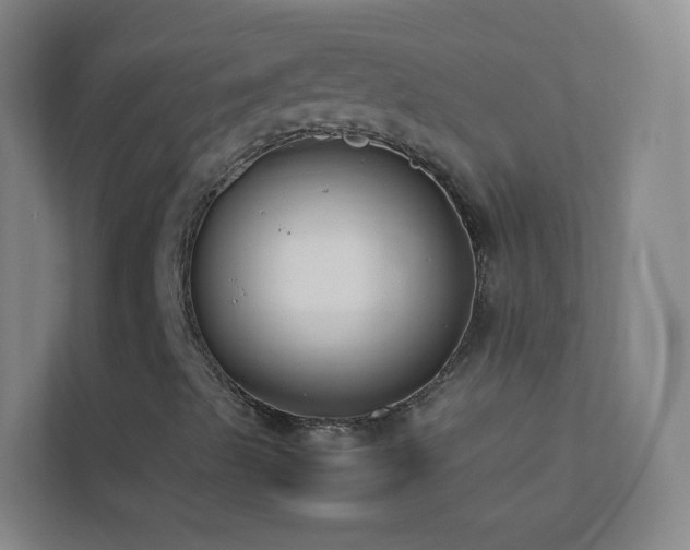 X0000113871489200909241321