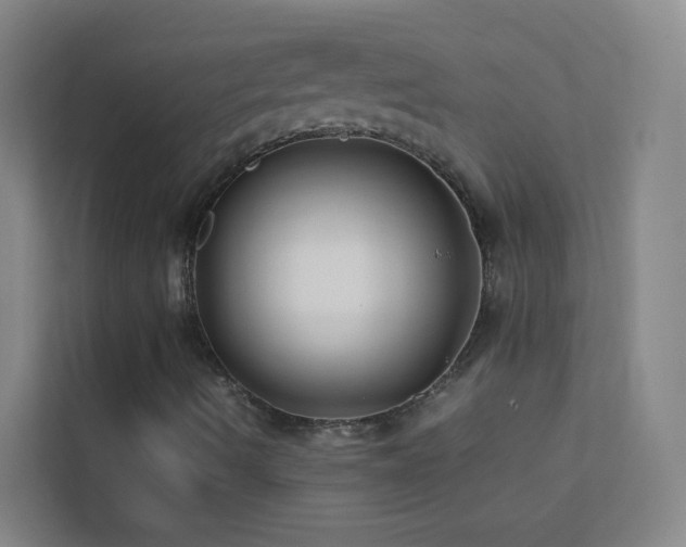 X0000113871490200909241321