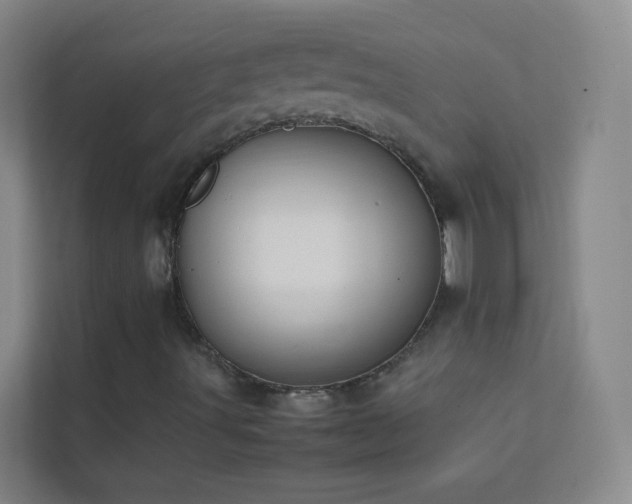 X0000113871491200909241321