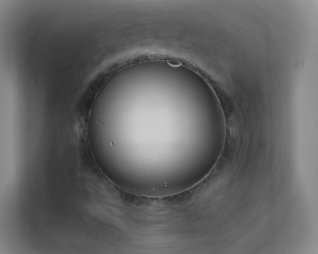 X0000113871495200909241321
