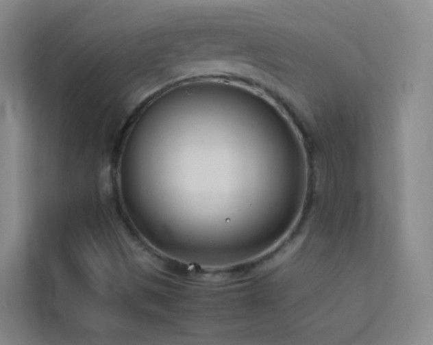 X0000113871497200909241321