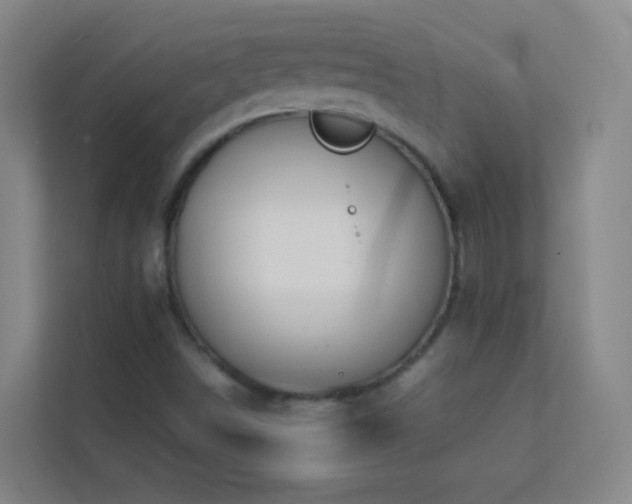 X0000113871498200909241321
