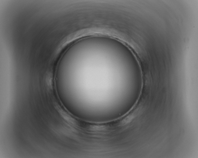 X0000113871499200909241321