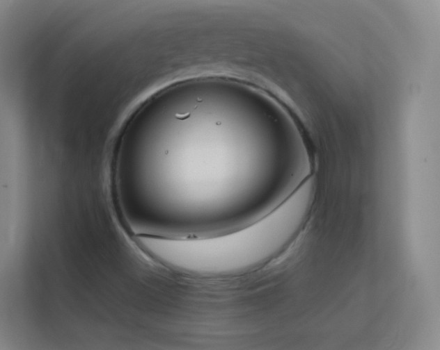 X0000113871500200909241321