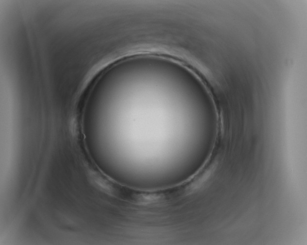 X0000113871501200909241321
