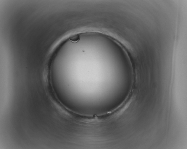 X0000113871502200909241321