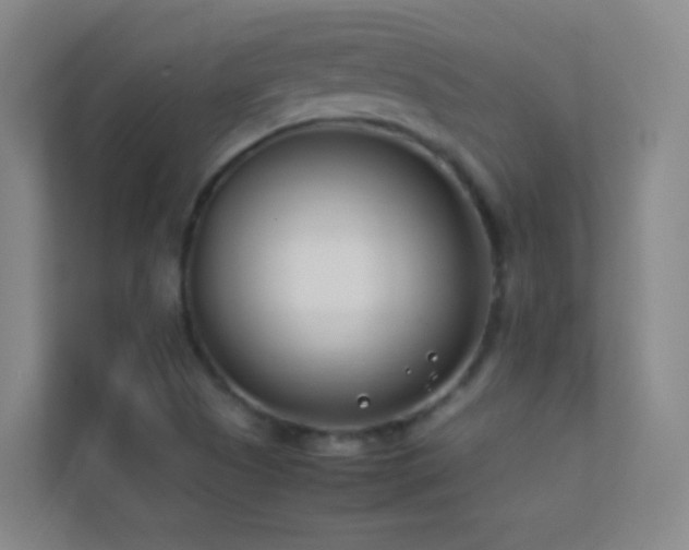 X0000113871505200909241321