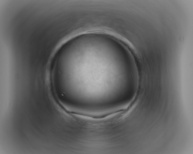 X0000113871506200909241321