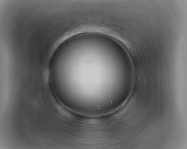 X0000113871507200909241321