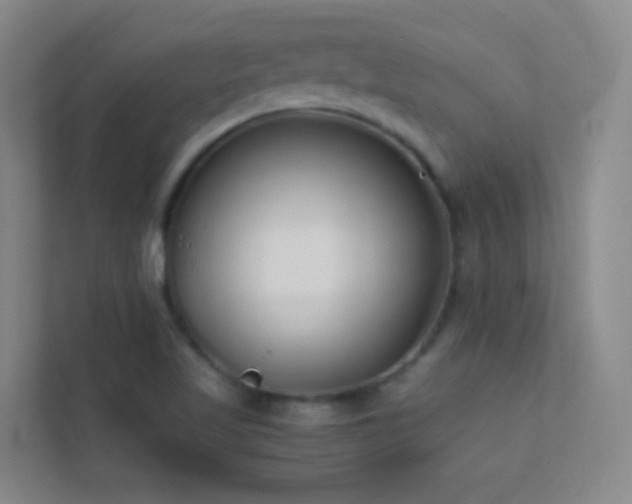 X0000113871509200909241321